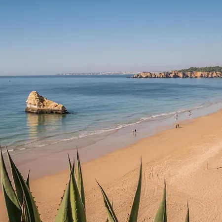 Appartement Sea View 1b *